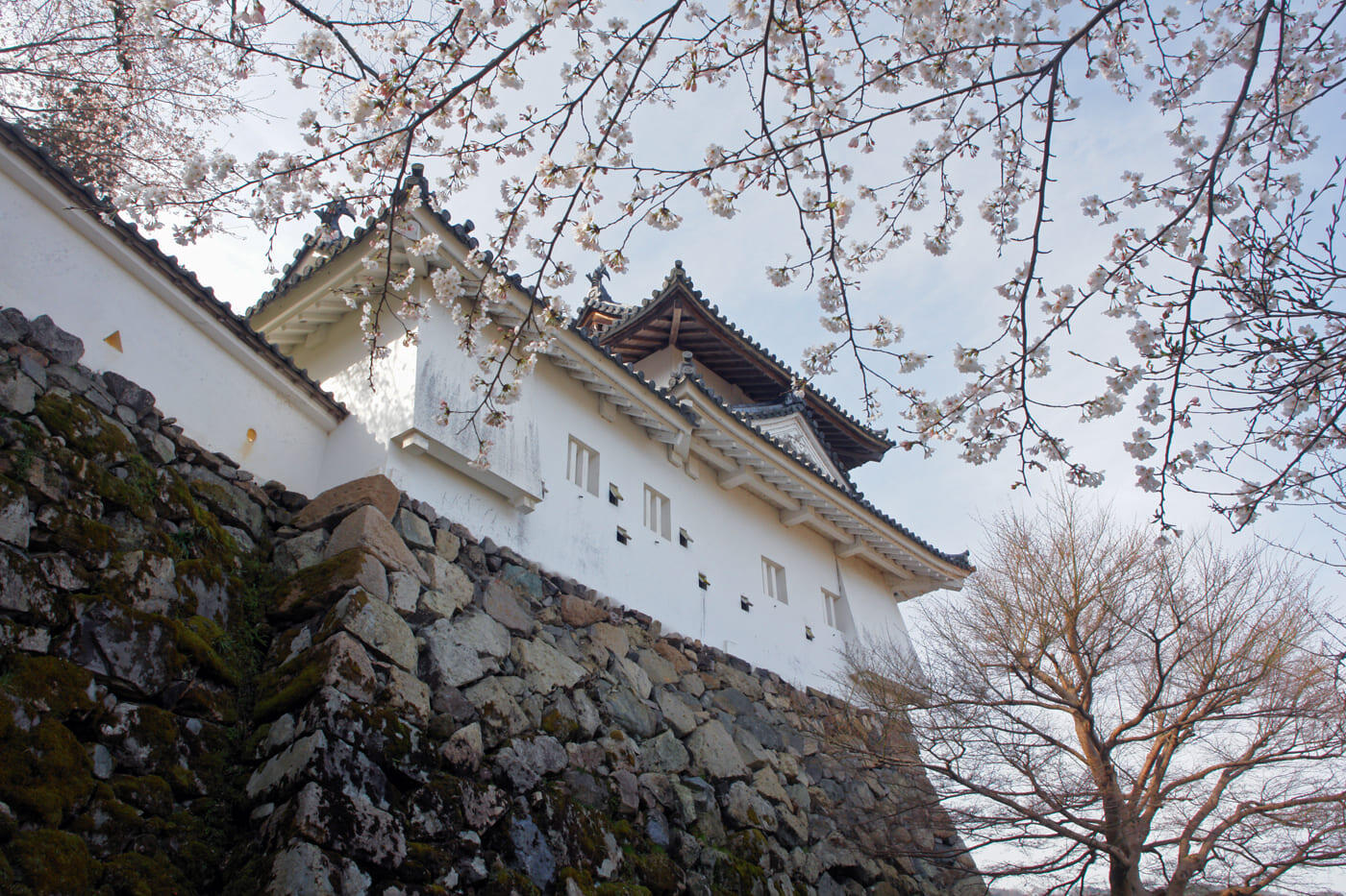 但馬の小京都　出石